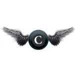 Cyber Kings India company logo