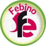Febino Digital LLP company logo