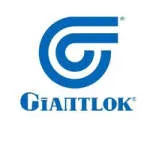 Giantlok India Pvt.Ltd. company logo
