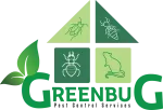 Green Bug Online Services company logo