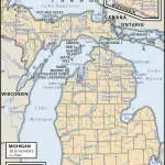 Mi Young Korean Aesthetics company logo