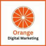 Orange Digital Marketing - Chennai company logo