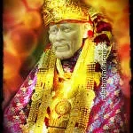 Sai Ortho Care Hospital company logo