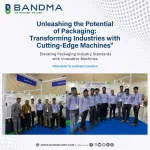 BANDMA INDIA PRIVATE LIMITED company logo