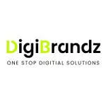 Digibrandz IT Solutions company logo
