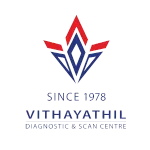 Vithayathil company logo