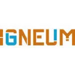igneaum skincare LLP company logo
