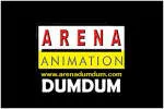 Arena Animation Dumdum company logo
