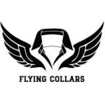 Flying Collars Solutions company logo