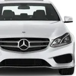 Grewal Speedo Flyers company logo