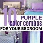 Purple Squirrel Eduventures Pvt. Ltd company logo