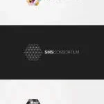 SMS CONSORTIUM company logo