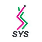 SYS MEDTECH INTERNATIONAL PVT LTD company logo