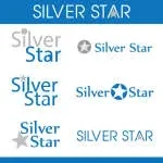 Silver Staar Recruiters company logo