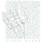 Studio Algae company logo