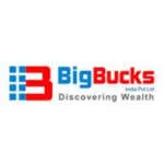Bigbucks India Pvt Ltd company logo