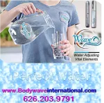 Body wave company logo