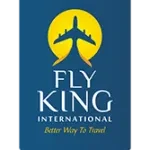 Flyking company logo