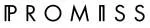 Promiss saloon & aesthetics company logo