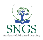 SNGS Academy company logo